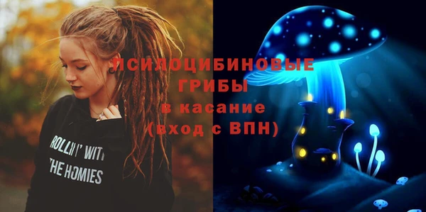 кокс Арсеньев