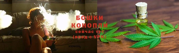 кокс Арсеньев