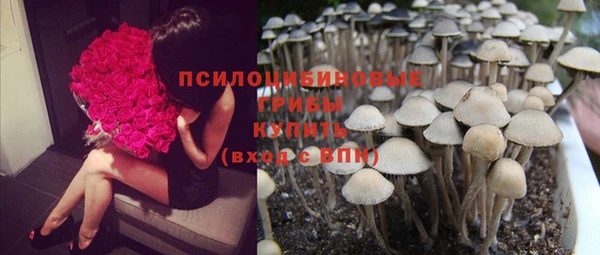 МДПВ Аркадак